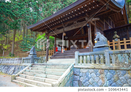 Shadow Shrine Naraijuku Shadow Shrine Naraijuku 109643441