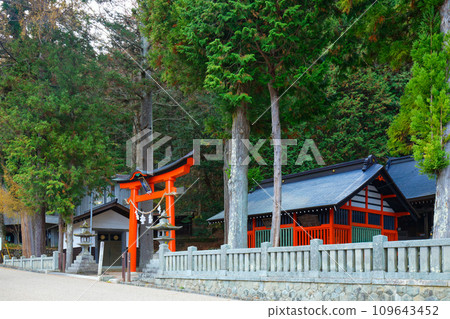 Shadow Shrine Naraijuku Shadow Shrine Naraijuku 109643452