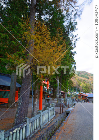 Shadow Shrine Naraijuku Shadow Shrine Naraijuku 109643477