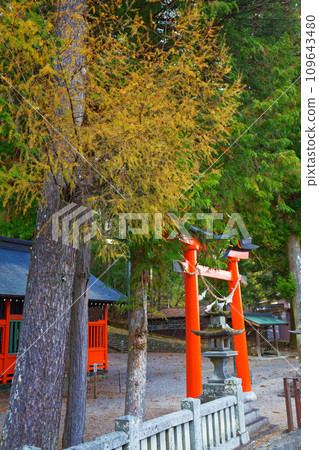 Shadow Shrine Naraijuku Shadow Shrine Naraijuku 109643480