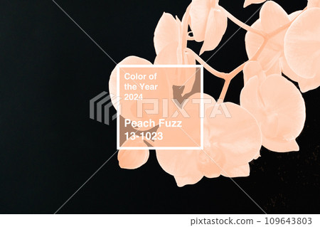 Branch of orchid flowers toned in peach fuzz color on dark background 109643803