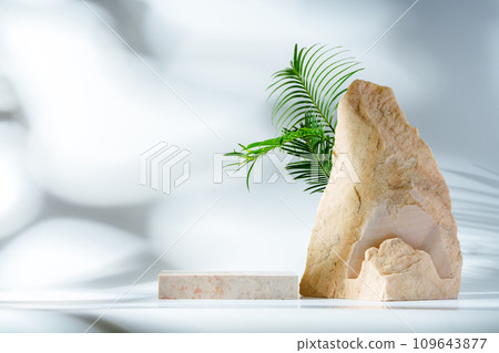 Granite stone with branch green leaf on studio background Granite stone with branch green leaf on studio background 109643877