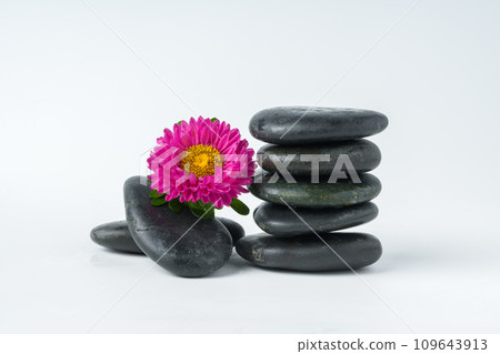 Spa stones and flowers on the white background 109643913