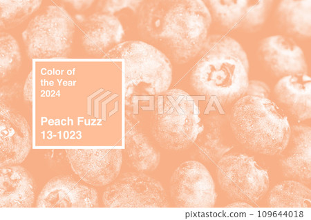 Freshly picked blueberries toned in peach color for background 109644018