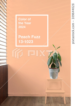 Green plant in a vase against peach fuzz color background 109644028