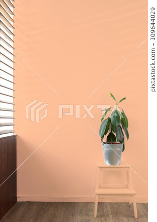 Green plant in a vase against peach fuzz color background 109644029