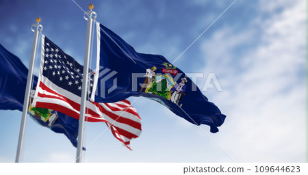 Maine state flags and the American flag waving in the wind on a clear day 109644623