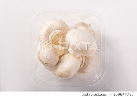 White mushrooms from Ibaraki Prefecture 109644753