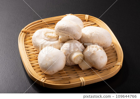 White mushrooms from Ibaraki Prefecture 109644766