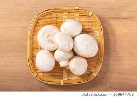 White mushrooms from Ibaraki Prefecture 109644768