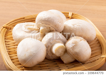 White mushrooms from Ibaraki Prefecture White mushrooms from Ibaraki Prefecture 109644770