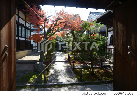 京都市東山區太鼓庵院內秋天的東福寺 109645105