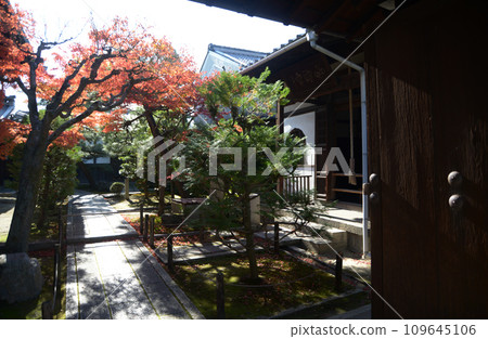 Tofukuji Temple in autumn, Taikoan precincts, Higashiyama Ward, Kyoto City Tofukuji Temple in autumn, Taikoan precincts, Higashiyama Ward, Kyoto City 109645106