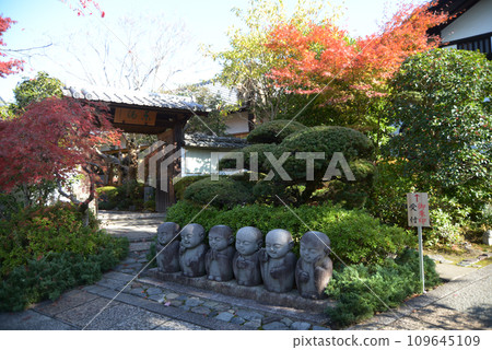 京都市東山區靈元院內秋天的東福寺 109645109