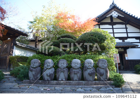 Tofukuji Temple in autumn, Reigen-in precincts, Higashiyama Ward, Kyoto City 109645112