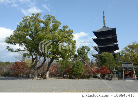 京都市南區秋東寺五層塔 109645415