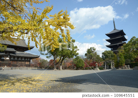 京都市南區秋天的東寺、近堂和五層塔 109645551
