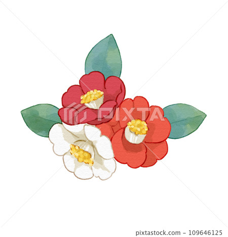 Monograph of the Genus Camellia – Oppenheimer Kew Gardens