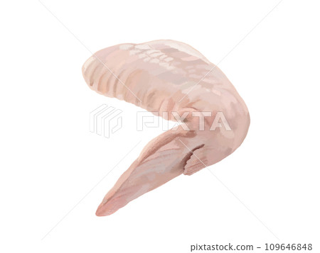 Chicken wings chicken 109646848