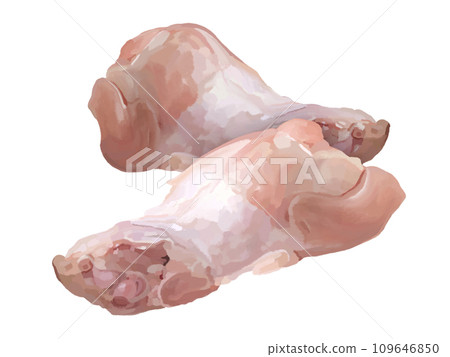 Chicken wings (2 pieces) 109646850