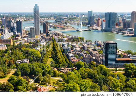 Aerial view of Rotterdam cityscape on Nieuwe Maas with Erasmus cable-stayed bridge 109647004