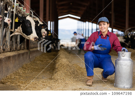 Young positive female farmer carrying milk churn near stall with cows during work on dairy farm Young positive female farmer carrying milk churn near stall with cows during work on dairy farm 109647198