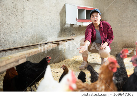 Woman farmer feeding bird in the backyard of village house 109647302