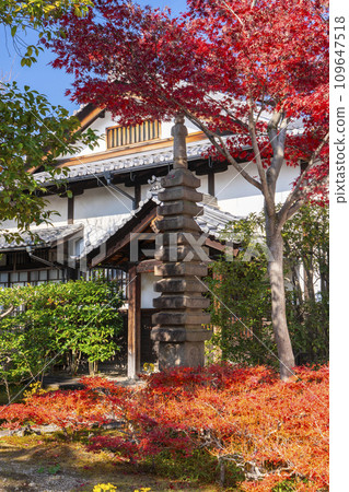 Kyoto in autumn, Entoku-in, eleven-story stone pagoda covered in autumn leaves Kyoto in autumn, Entoku-in, eleven-story stone pagoda covered in autumn leaves 109647518