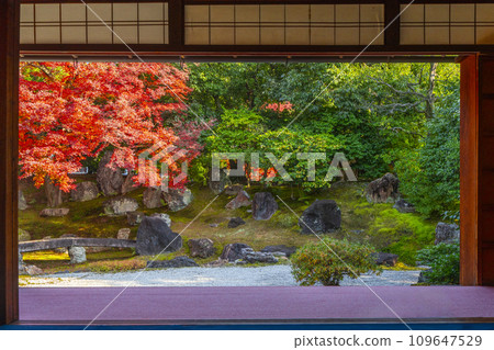 Kyoto in autumn, Entoku-in, north garden with beautiful autumn leaves 109647529