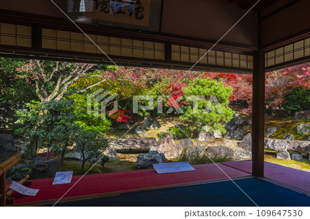 Kyoto in autumn, Entoku-in, north garden with beautiful autumn leaves Kyoto in autumn, Entoku-in, north garden with beautiful autumn leaves 109647530