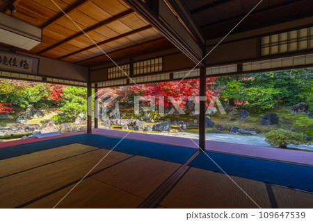 秋天的京都,圓德院,北庭庭園,秋葉美麗 秋天的京都,圓德院,北庭庭園,秋葉美麗 109647539