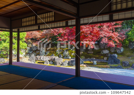 Kyoto in autumn, Entoku-in, north garden with beautiful autumn leaves Kyoto in autumn, Entoku-in, north garden with beautiful autumn leaves 109647542