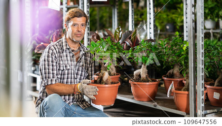 Enthusiastic plant lover recommending potted Ficus Ginseng in garden store Enthusiastic plant lover recommending potted Ficus Ginseng in garden store 109647556