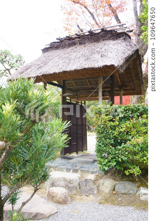 紅葉閃耀的有樂園/茅門1 109647650