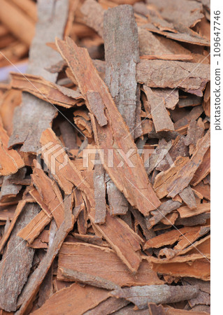 closeup of Cinnamon sticks background  109647746