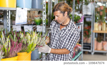 Adult man holding pot of heather in plant store 109647874