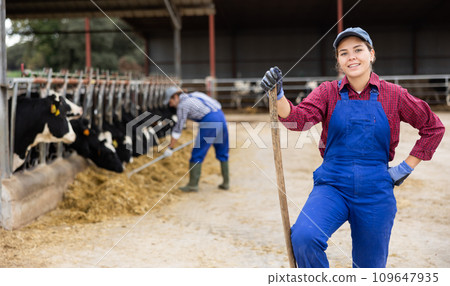 Young woman farmer posing while feeding cows at farm 109647935