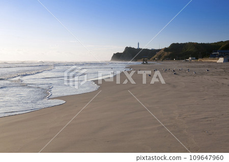 秋天的碓水磯海岸和鹽屋崎燈塔 秋天的碓水磯海岸和鹽屋崎燈塔 109647960