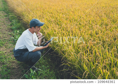 farming, digital tablet, tablet 109648361