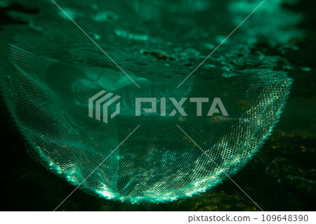 aquatic, net, nets 109648390