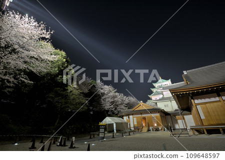 [愛知縣] 燈光櫻花和名古屋城本丸禦殿和天守閣 109648597