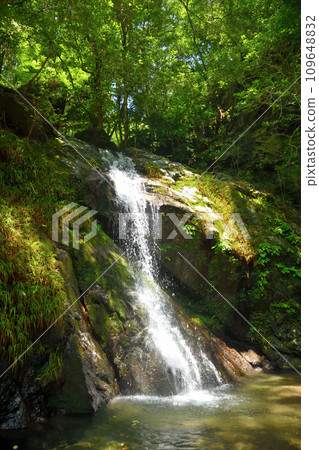 大瀧川瀑布（大瀧）[和歌山縣日高郡日高川町] 109648832