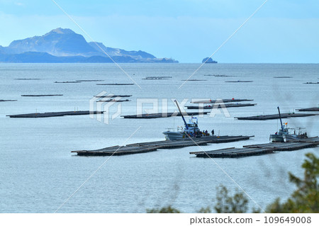 Oyster farming Murotsu fishing port: Grow washed oysters again in the sea Oyster farming Murotsu fishing port: Grow washed oysters again in the sea 109649008