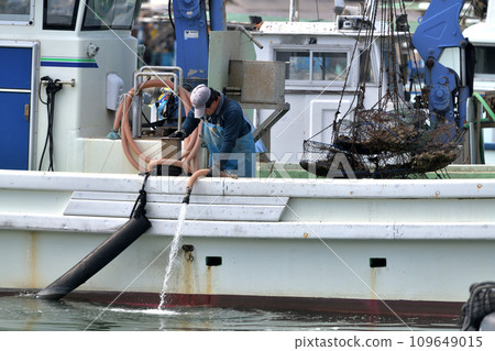 Sakoshi Fishing Port - Landing of oysters Sakoshi Fishing Port - Landing of oysters 109649015