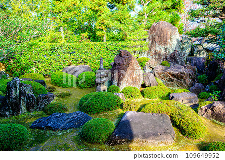 一休寺北條庭園 109649952
