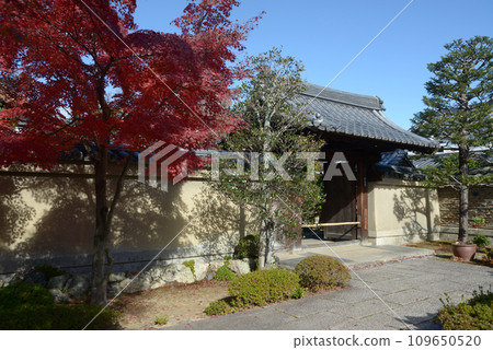 Autumn Daitokuji Temple, Hoshunin Sanmon, Murasakino, Kita Ward, Kyoto City Autumn Daitokuji Temple, Hoshunin Sanmon, Murasakino, Kita Ward, Kyoto City 109650520