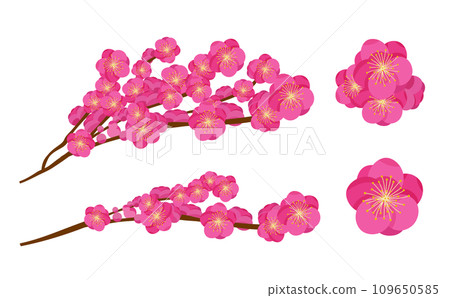 易於在新年、節分和成年儀式中使用的日式粉紅梅花樹的向量插圖素材集。 109650585