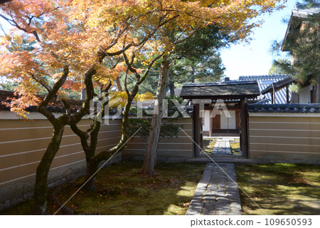 秋天 京都市北區紫野 龍光院中央門 大德寺 109650593