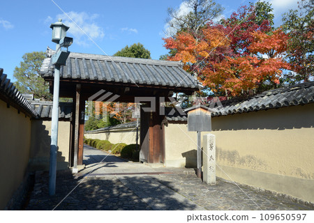 秋天 京都市北區紫野 寶州院山門 大德寺 109650597