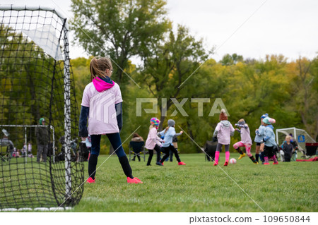 Selective focus on grass and back of goal net in a youth soccer match. Selective focus on grass and back of goal net in a youth soccer match. 109650844
